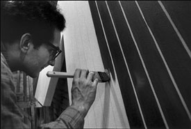 Frank Stella