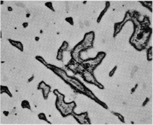 Microstructure of continuous cast tin bronze alloy C90500.